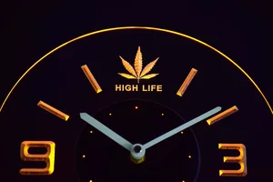 High Life Leaf Modern LED Neon Wall Clock