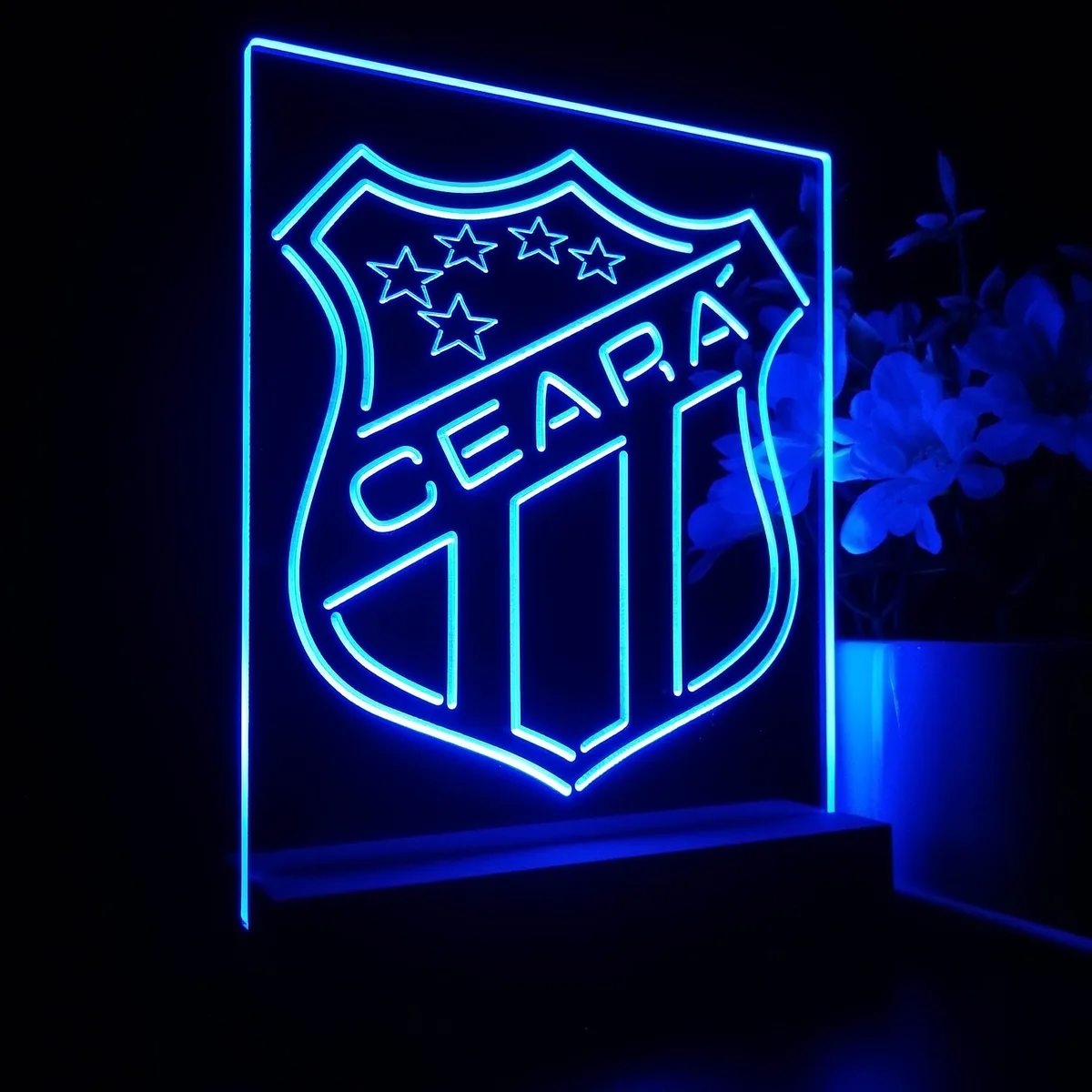 Ceara Sporting Club Logo LED Desk Light
