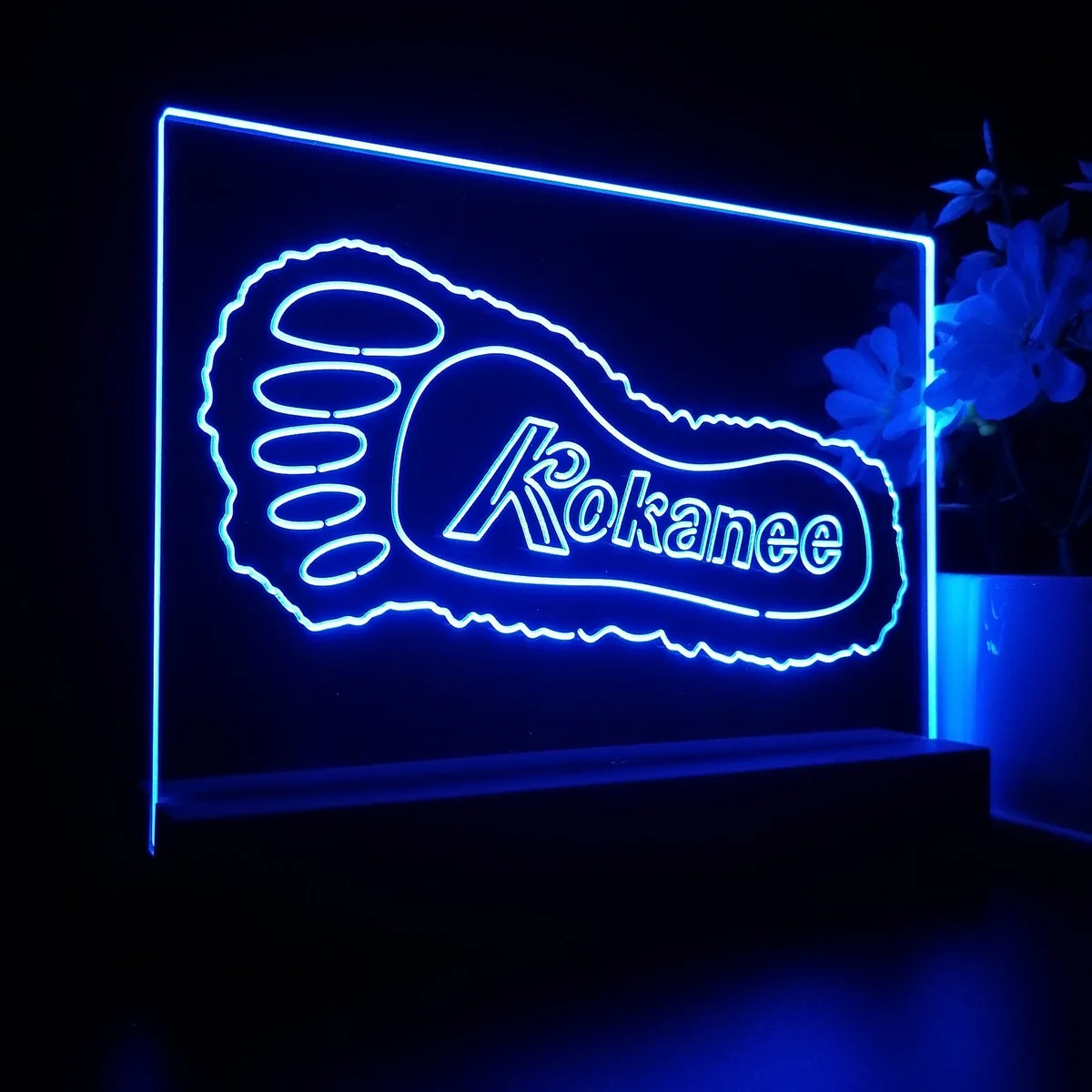 Kokanee Foot LED Desk Light