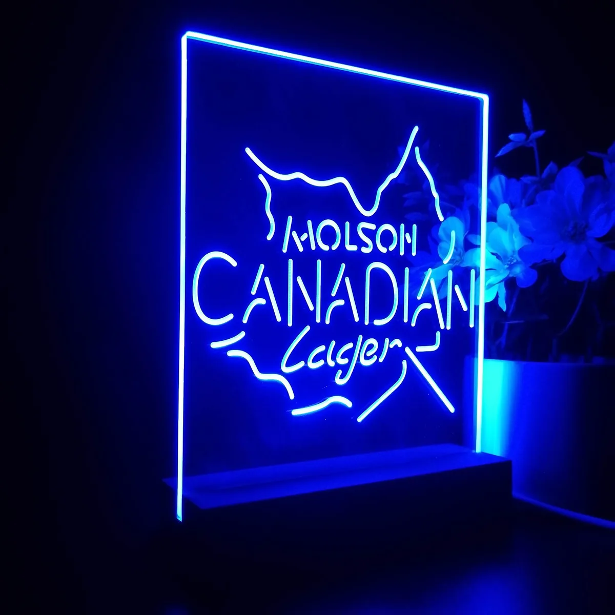 Molson Canadian Lager LED Desk Light