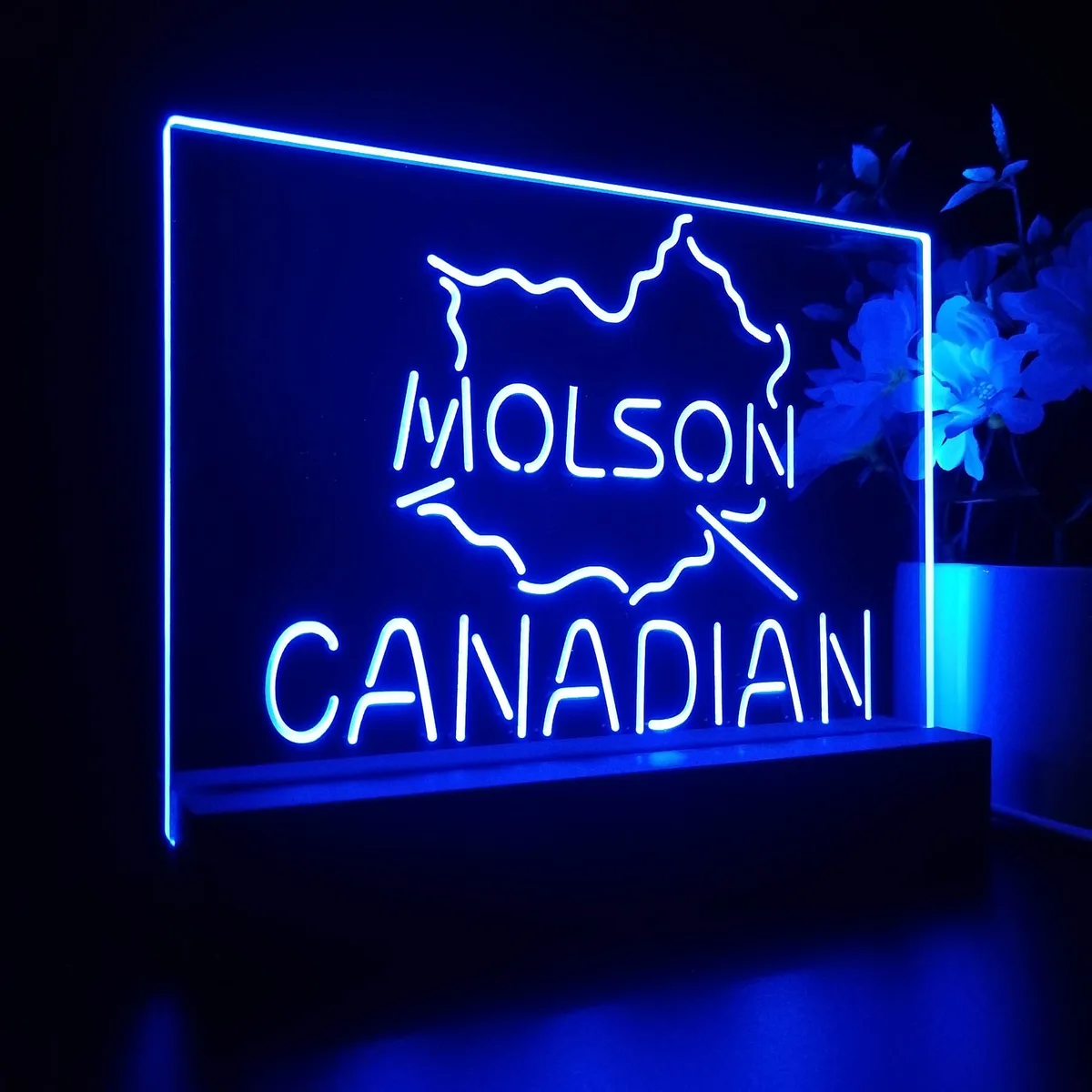 Molson Maple 1 LED Desk Light