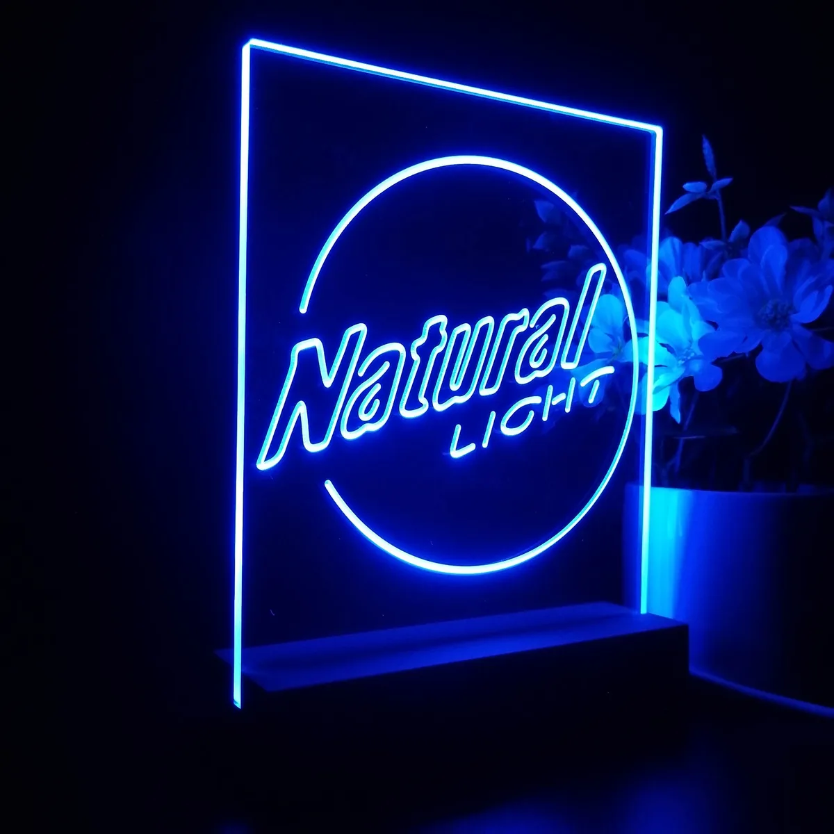 Natural Light LED Desk Light