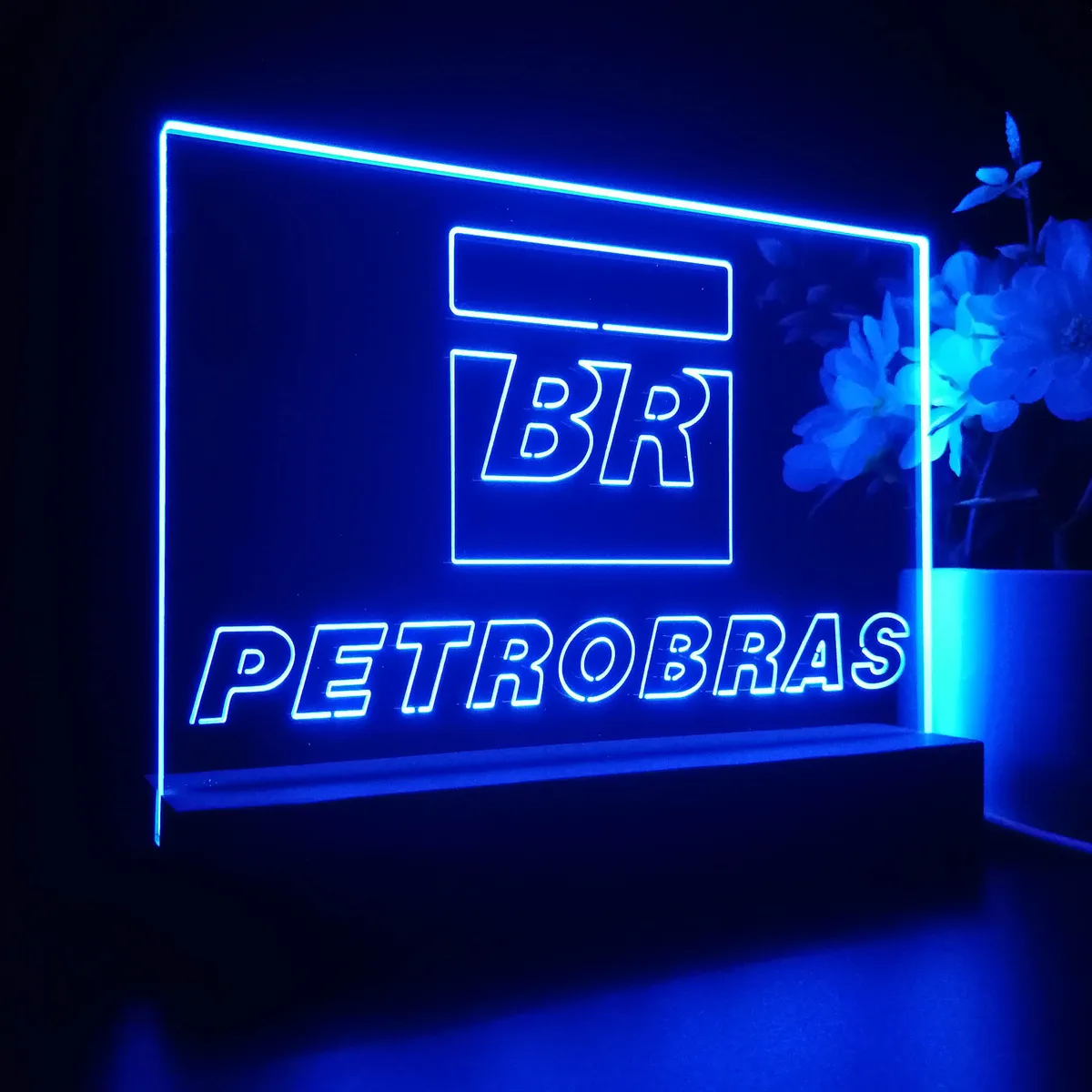 Petrobras BR LED Desk Light