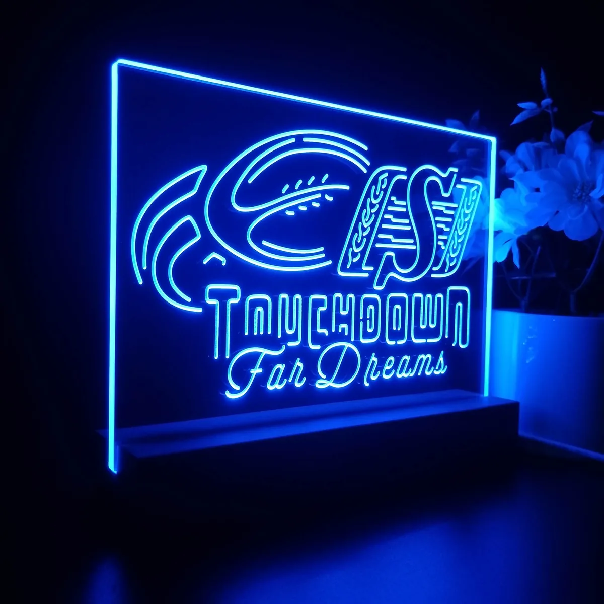 Saskatchewan Roughriders Touchdown for Dreams LED Desk Light
