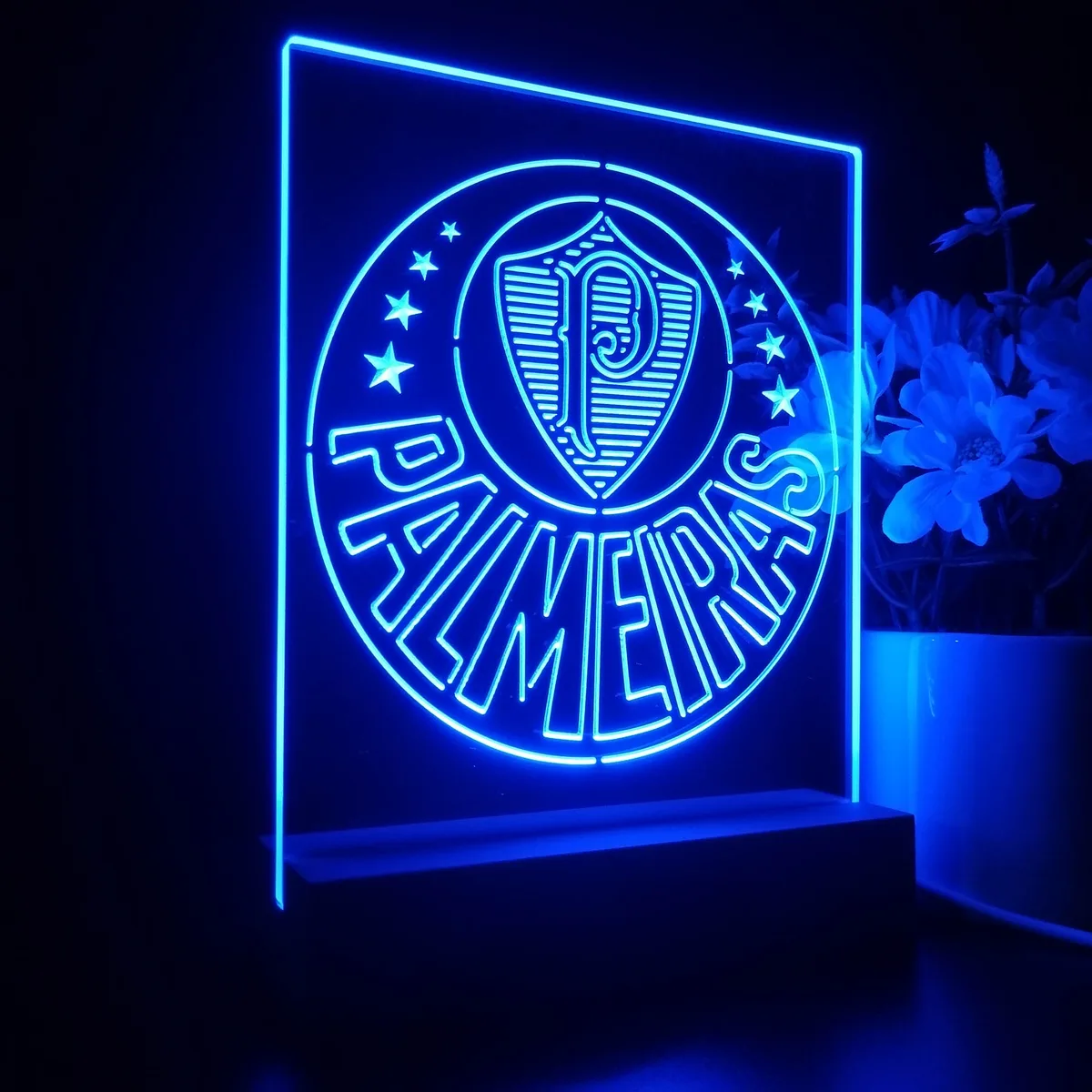 Sociedade Esportiva Palmeiras Logo LED Desk Light