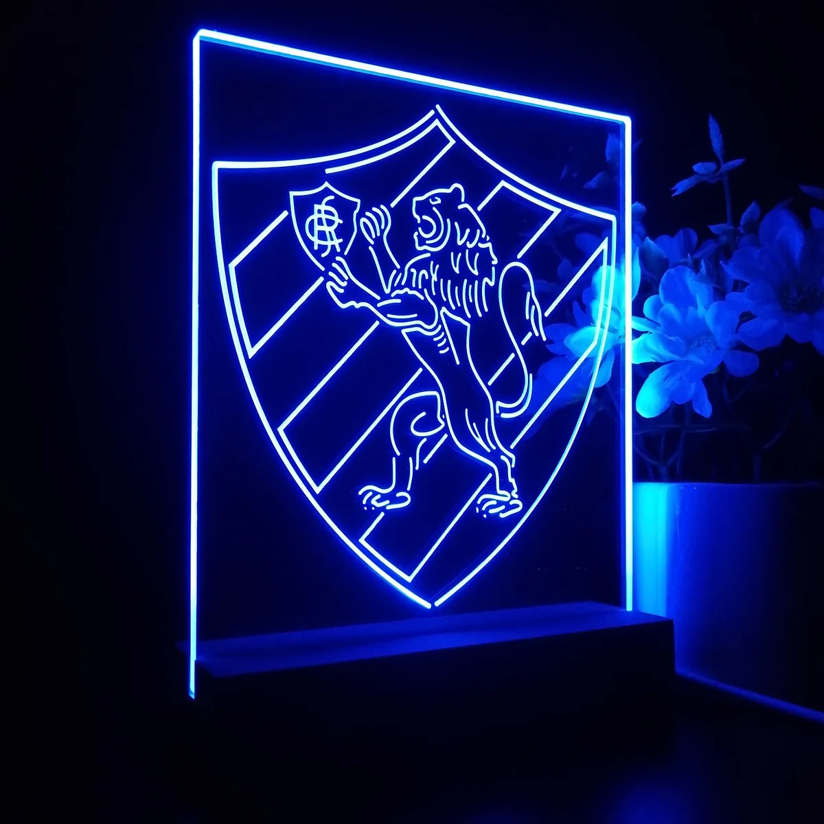 Sport Club do Recife Logo LED Desk Light