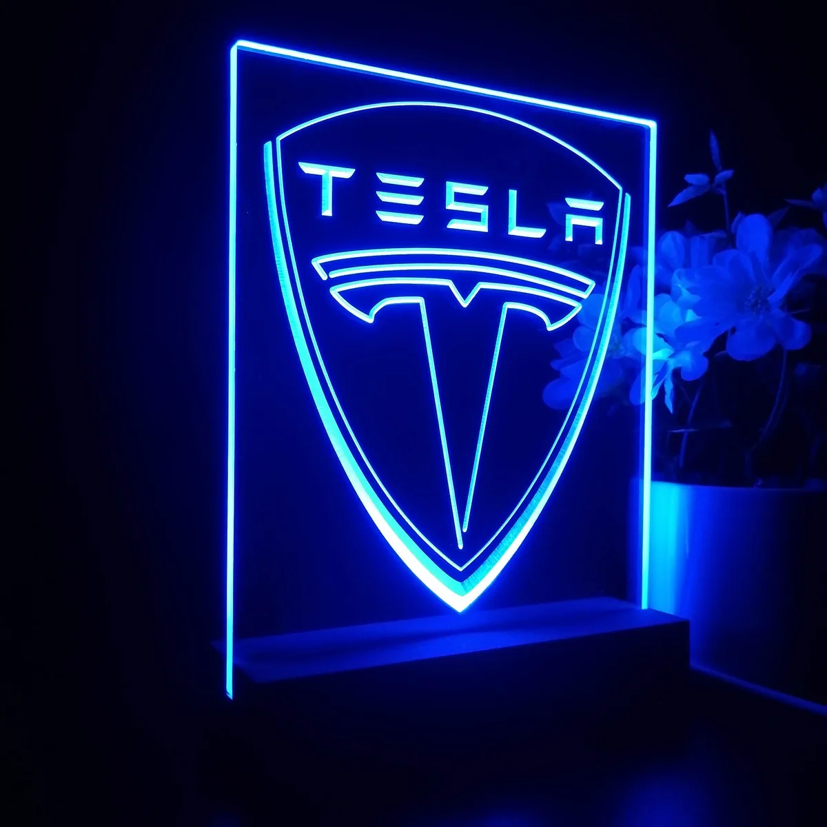 Tesla Logo LED Desk Light