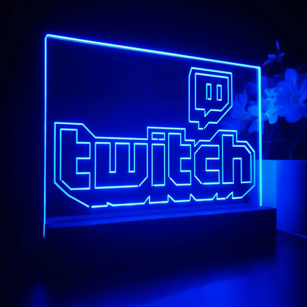 Twitch LED Desk Light