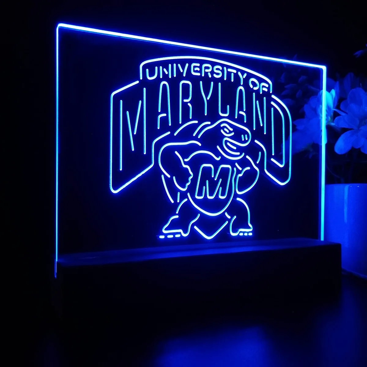 University of Maryland Terrapins Logo LED Desk Light