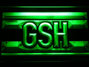 Chicago Bears George S. Halas Memorial LED Neon Sign