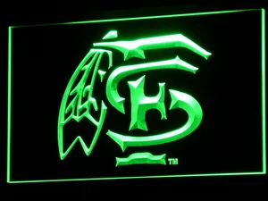 Florida State Seminoles LED Neon Sign