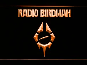 Radio Birdman LED Neon Sign
