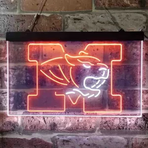 Missouri Tigers Logo Neon-Like LED Sign