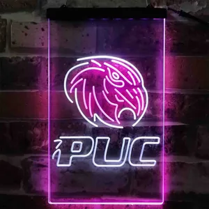 Purdue Calumet Logo Neon-Like LED Sign
