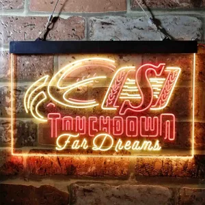 Saskatchewan Roughriders Touchdown for Dreams Neon-Like LED Sign