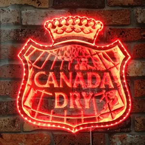 Canada Dry Logo RGB LED Sign