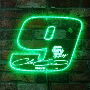 Chase Elliott #9 Signed Number RGB LED Sign