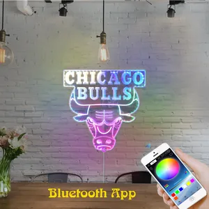 Chicago Bulls Logo RGB LED Sign