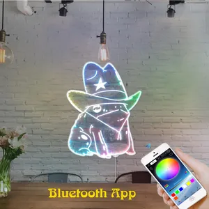 Cowgirl Frog RGB LED Sign