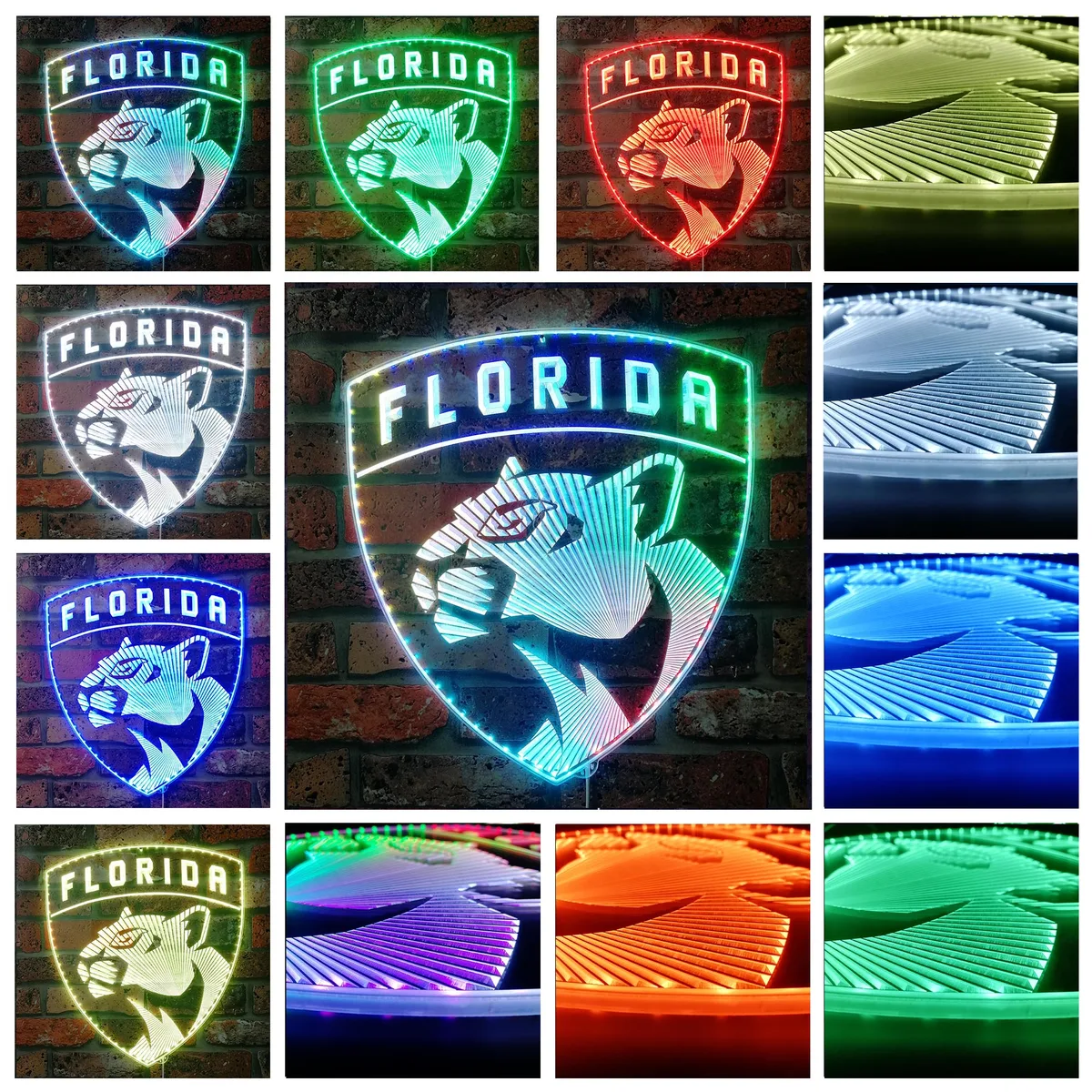 Florida Panthers Logo RGB LED Sign