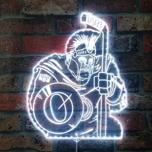 Ottawa Senators Bardown RGB LED Sign