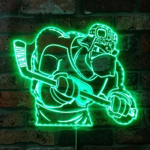 Philadelphia Flyer Bardown RGB LED Sign