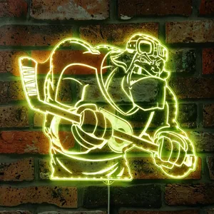 Philadelphia Flyer Bardown RGB LED Sign