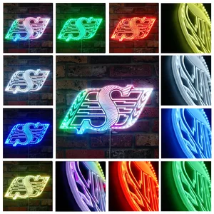 Saskatchewan Roughriders Logo RGB LED Sign