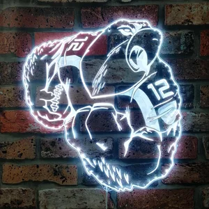 Seattle Seahawks Bardown RGB LED Sign