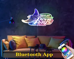 Tampa Bay Rays Devil Rays RGB LED Sign