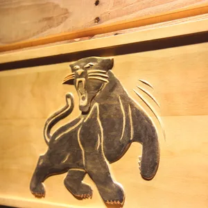 Carolina Panthers 1995-2011 Wood Sign - Legacy Edition
